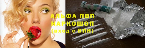 индика Липки