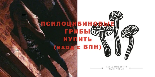 гашик Лиски