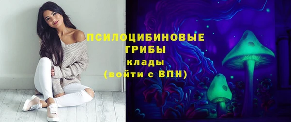 гашик Лиски