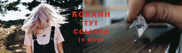 индика Липки