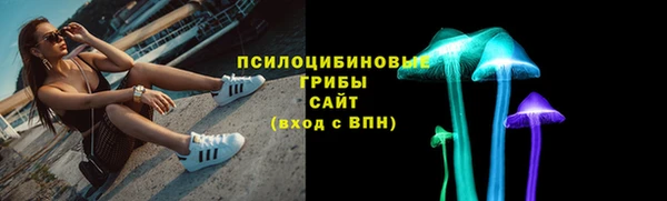 гашик Лиски