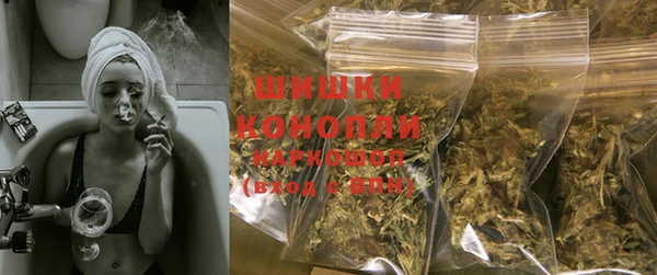 индика Липки
