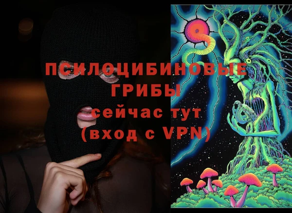 гашик Лиски