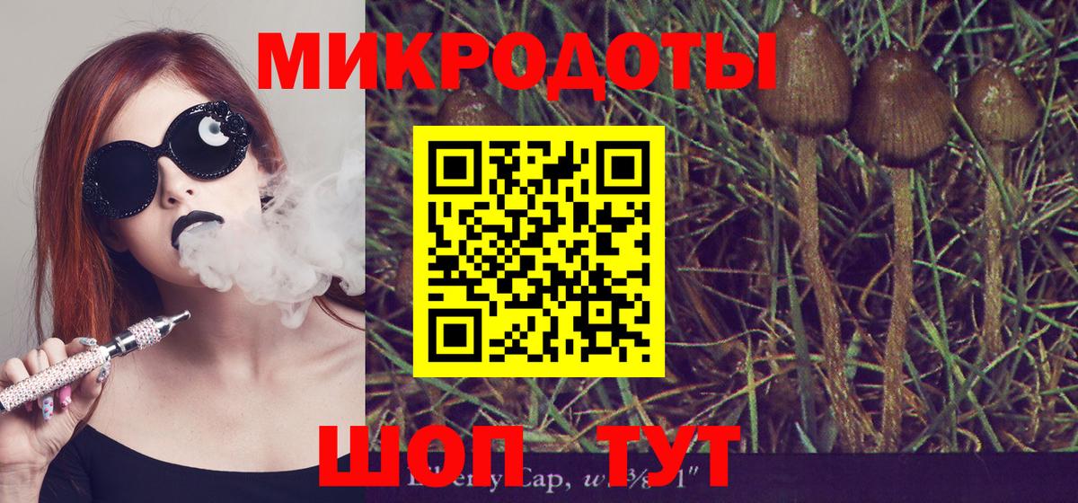 купить   Вход с VPN  Красноярск  Псилоцибиновые грибы Psilocybine cubensis 