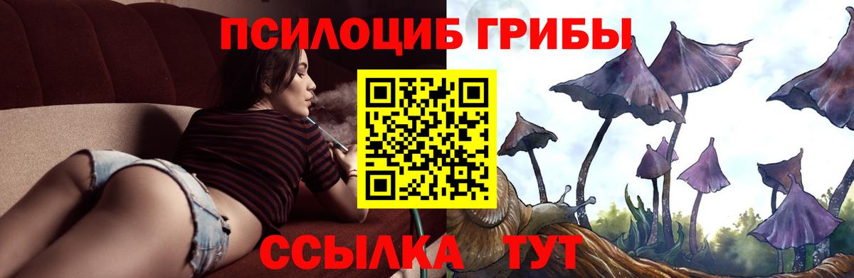 Псилоцибиновые грибы GOLDEN TEACHER Красноярск