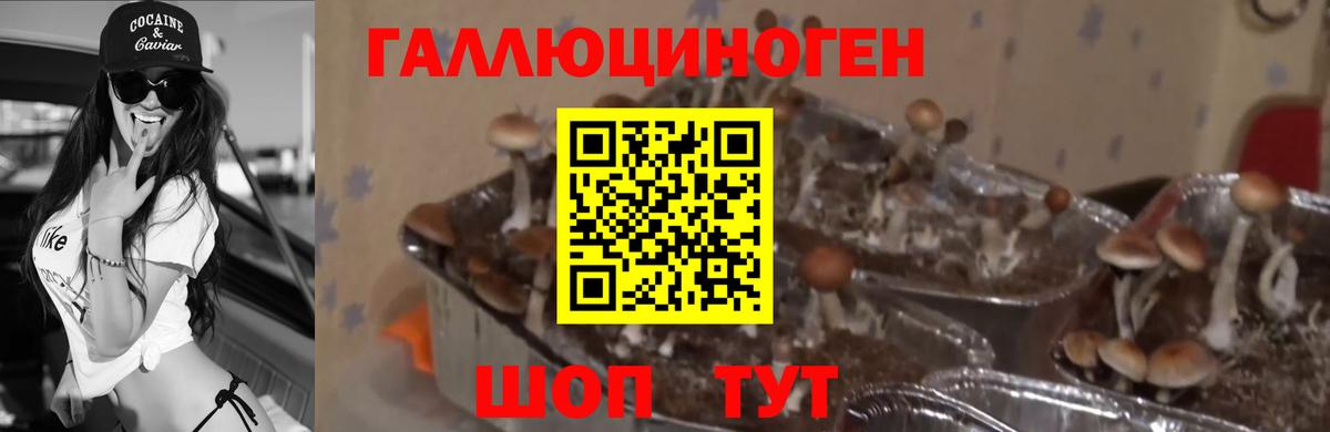 Метамфетамин  Красноярск  Марки ЛСД  Канабис  Хэш  Меф  Кокаин  Вход с VPN  Плюхи 